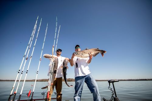 Shakespeare Ugly Stik 7’ Catfish Spinning Rod, Two Piece Catfish Rod, 15-30lb Line Rating, Medium Heavy Rod Power, Moderate Fast Action, 1/2-3 oz. Lure Rating