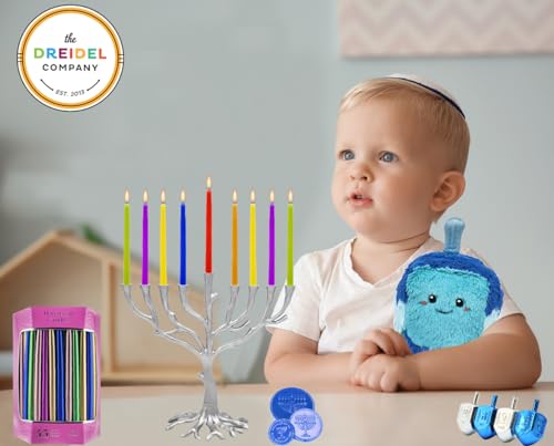 Multicolred Jerusalem Box 44 Hanukkah Candles Menorah Candles Chanukah Candles for All 8 Nights of Chanukah