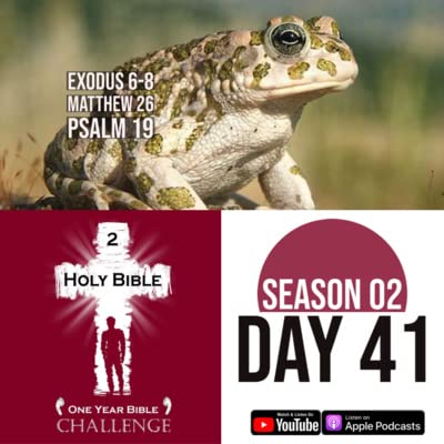 Day 41: God punishes Egypt with gnats, frogs, and flies | Jesus is arrested