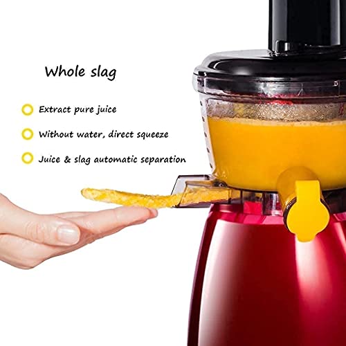 Juicer Machine,Juicer Machines Easy to Clean Slow Masticating Juicer for Hard Soft Vegetable and Fruit Quiet Motor