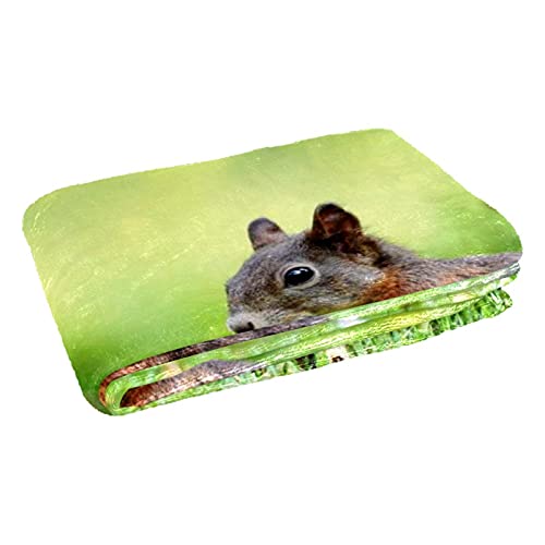 Couverture douce motif écureuil de qualité supérieure pour lit - 3