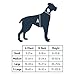 Solvit Happy Ride Dog Safety Harness for Cars - Dog Car Harness with Seat Belt Tether - Adjustable Straps & Breathable Mesh - Keeps Pets Secure While Traveling - X-Large