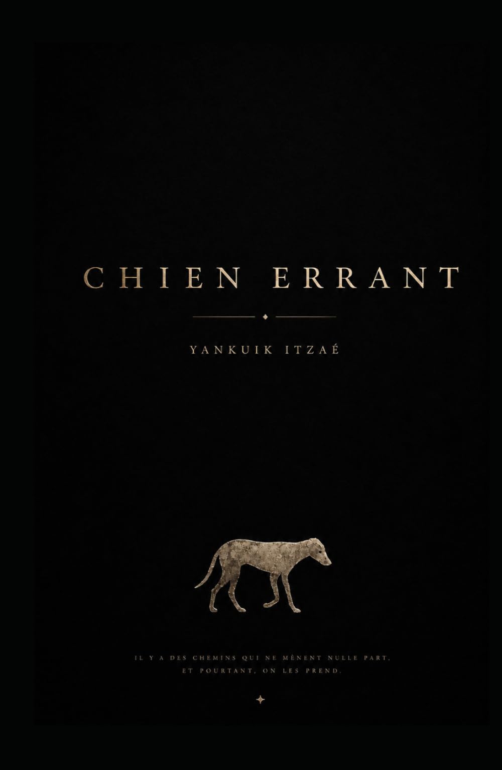 Chien Errant: Roman existentialiste et philosophique sur la solitude et la nature humaine (La malédiction d’être en vie : une collection de réalisme sombre)