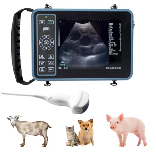 Why DAWEI Veterinary Ultrasound Machine for Pregnancy  Is A Top Contender In Its Field