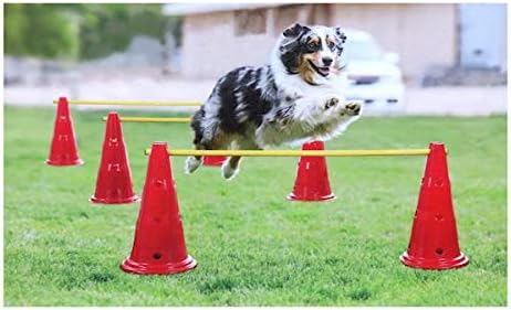 Etna Dog Agility Hurdle Set - 6 Canine Obedience Training Exercise Cones with 3 Collapsible Metal Bars - Adjustable Height