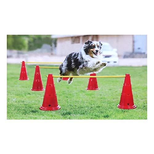 Etna Dog Agility Hurdle Set - 6 Canine Obedience Training Exercise Cones With 3 Collapsible Metal Bars - Adjustable Height #TOP1