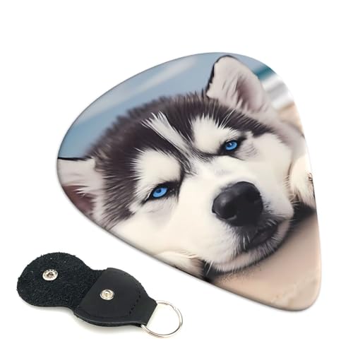 �v���X�`�b�N�s�b�N ���킢������G���L�M�^�[�s�b�N �n�X�L�[ ���� ���y�� �A�j�� �t�@�b�V���� ���y���D�� �l�����w�y��s�b�N 6�p�b�N 0.96mm