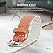 FREUDENTIER® Hundehalsband aus Leder, Made in EU, gefüttert & super komfortabel, hochwertiges breites Lederhalsband aus Vollnarbenleder, Model “Amstelpark” (27.5-38cm Halsumfang, Cognac)