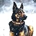 Didog Hundehalsbänder aus echtem Leder, exquisites geflochtenes Leder, personalisiert mit graviertem breitem Namensschild, verstellbare und langlebige Hundehalsbänder für mittelgroße Hunde, braun, XL