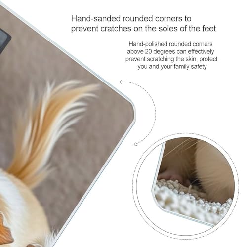 Báscula digital para baño en vidrio templado compacta miniatura 4