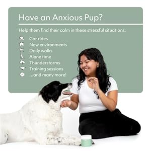 Reggie Anytime Calming Chews for Dogs | Natural Calming Dog Treats to Reduce Hyperactivity, Separation Anxiety, & Stress | Vet-Approved & Ideal for All Ages, Breeds, and Sizes – 60 Soft Chews