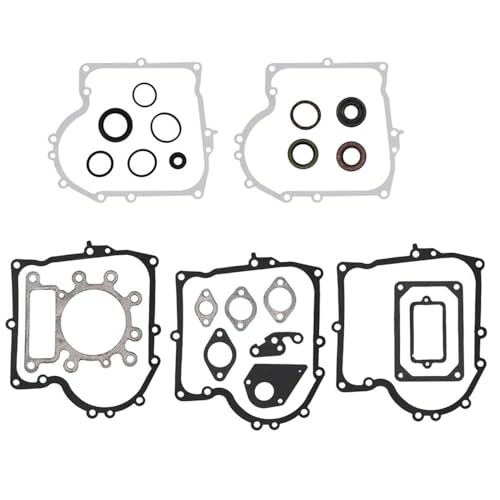 Jeu de joints de moteur précision pour BS 28N707 28N777 495993