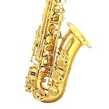 Ornements de Piano à Queue Saxophone Alto en mi bémol Instrument pour débutants destiné au...