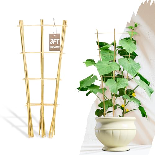 Avalution 10 Pack Bamboo Trellis for Climbing Plants, 3 FT