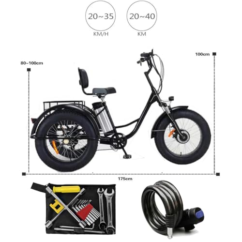 Triciclo elettrico per adulti, adatto a ragazzi e adulti, 500W 48V, 20" Fat Tire, 3 ruote, con batteria rimovibile e kit di attrezzi, adatto a tutti i terreni.