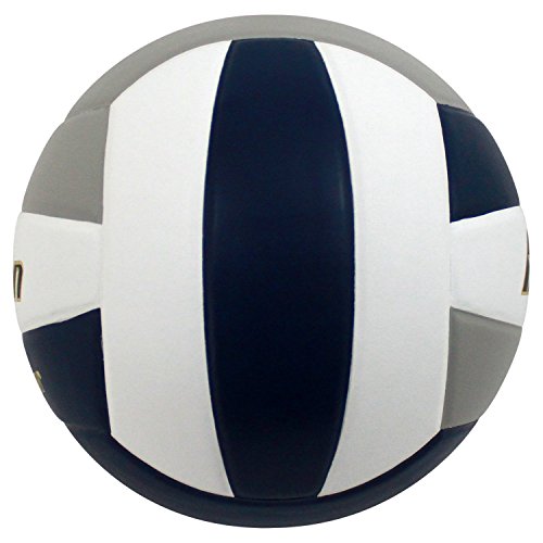 Image of Baden | Perfection | Premium Leather | Indoor Official Game Volleyball | 13U to College | Official Size + Weight | NFHS + AVCA Approved