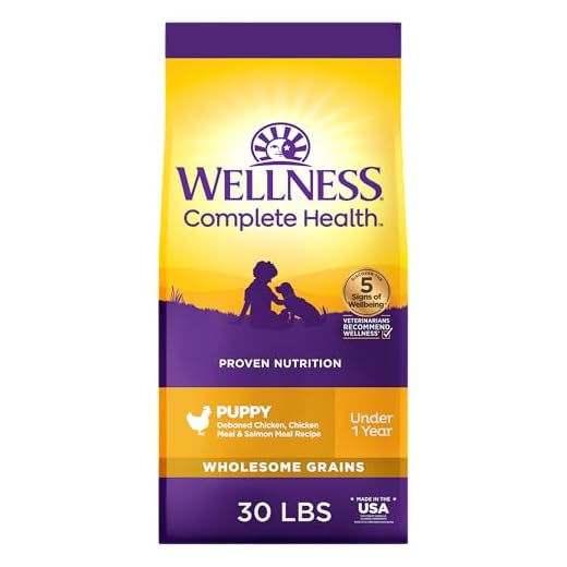 Wellness Complete Health Puppy Dry Dog Food, Wholesome Grain Kibble, Natural, Chicken, Oatmeal, and Salmon Recipe, 30 lb Bag