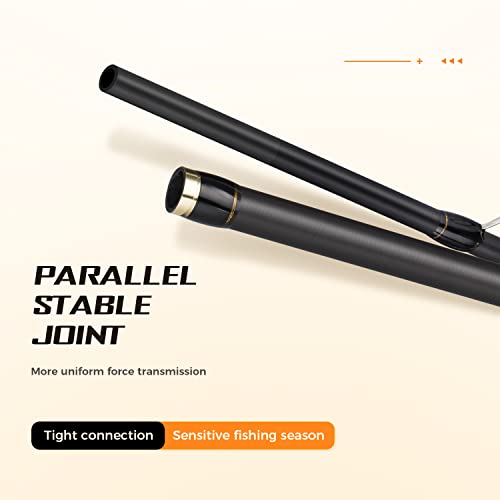 Berrypro 743693427975 Surf Spinning Rod Graphite Surf Fishing Rod  thumb #4