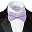 Black Suit Lilac Bowtie