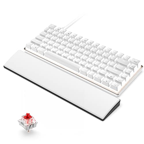 Protoarc Bluetooth Ergonomische Tastatur, EK04 Mini Kabellose Ergo
