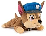 PAW PATROL