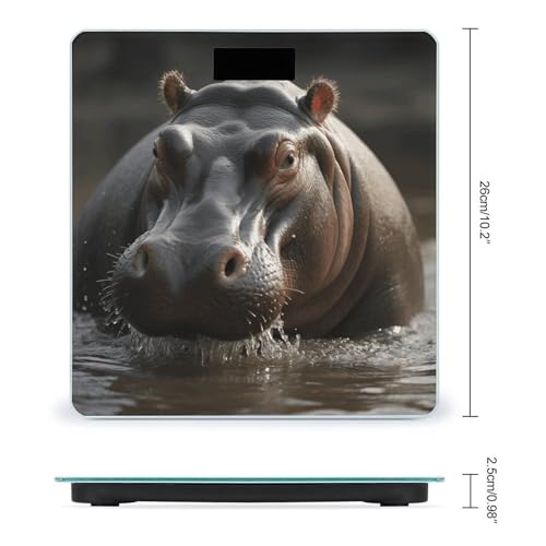 Báscula Digital de Baño con Pantalla LCD Precision miniatura 2