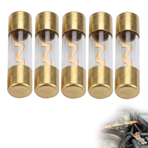 Wcawnlt Lot de 5 AGU Fusible Verre Plaqué Or 60A 12V Fusibles Audio de Voiture 12 Volt pour Auto Amplificateur, Protection Électrique pour Marine, Bateaux,...