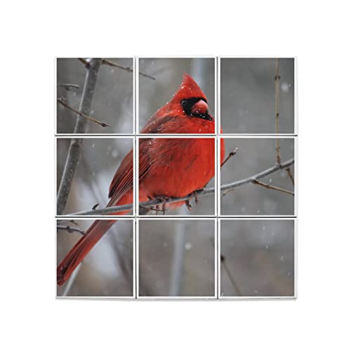 Carreaux céramique cardinal rouge 20x20cm lot de 9