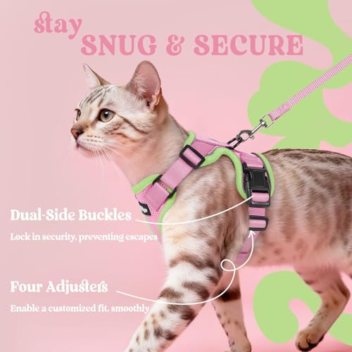 Image of rabbitgoo Cat Harness and Leash Set, Escape Proof Vest, Pink & Light Green