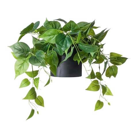 FOREVER LEAF Small Pothos Artificial Plant, Indoor Decorative Plant with Black Pot - Minimalist Style, 1 Piece, 5 x 5 x 7 inches, Irregular Shape, Faux Plants for Home & Office Cover