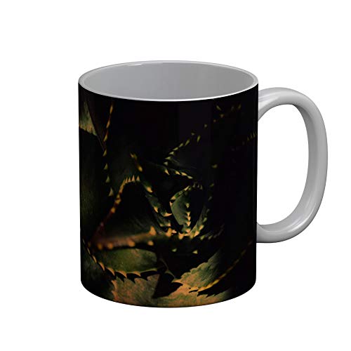 Fabulous Ceramic Mug 325ml Close-up Agave Agave ovatifolia Vegetable Wonder