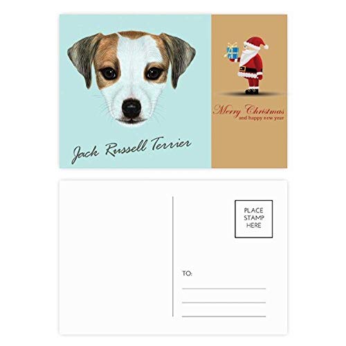 Cartes postales Jack Russell Terrier lot 20 papeterie chien collection correspondance
