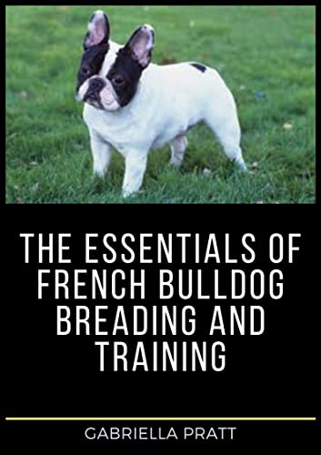 bulldog essentials