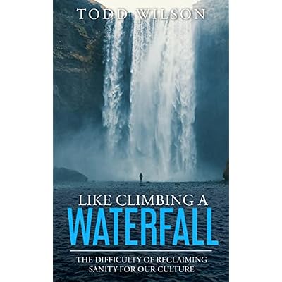 Like Climbing a Waterfall