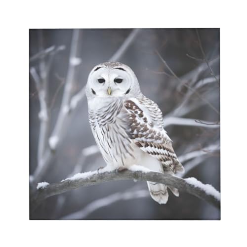 Tableau hibou blanc pour chambre déco moderne cocooning 40x40 - 3