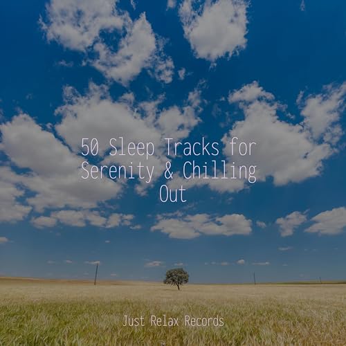 50 Sleep Tracks for Serenity & Chilling Out by Study Music & Sounds on ...