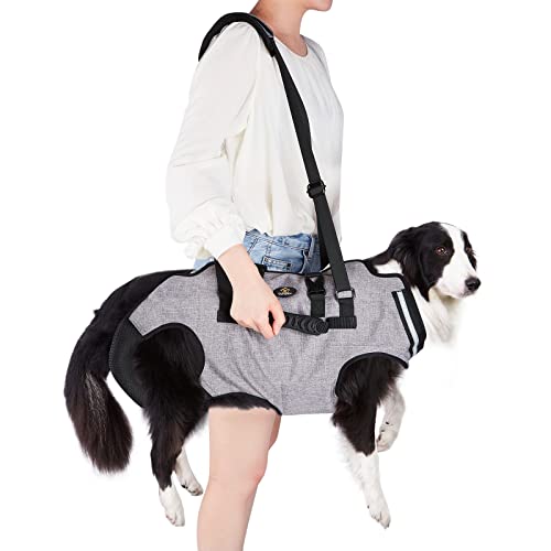 Ownpets Arnés Elevación Perros XXL, Gris