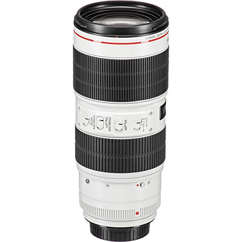 Canon EF 70-200mm f2.8 L is III USM Telephoto Lens - White