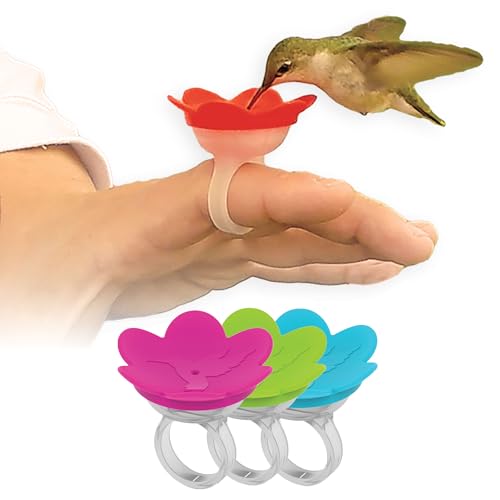 3-Pack - ZUMMR Hummingbird Ring Feeder - Hand Feed Hummingbirds Right in Your Backyard. Get up Close and Personal with Nature. Proudly Made in The U.S.A. - The Original