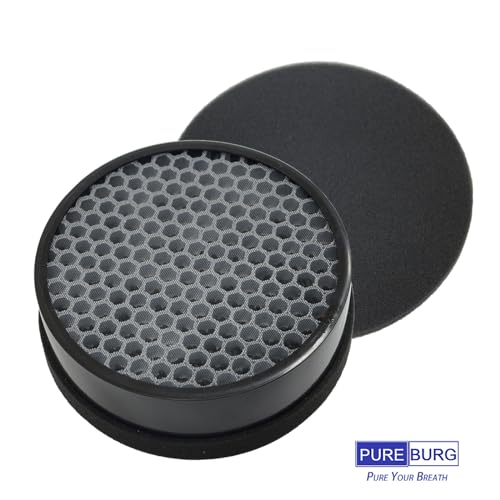 PUREBURG Replacement Filter Set Compatible with hOmeLabs HME020248N Air Purifier,2-Pack H13 HEPA Activated Carbon Pre-Filters Air Clean VOCs Odor