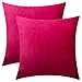 Produktbild 50 x 50 cm Kissenbezug, 2er-Pack, Dekorative Dekokissenbezüge aus weichem Samt, Kissenbezüge mit Akzent, Euro-quadratische Kissenbezüge für Bauernhaus, Couch, Sofa, Kinder, Innen & Außen, Burgund