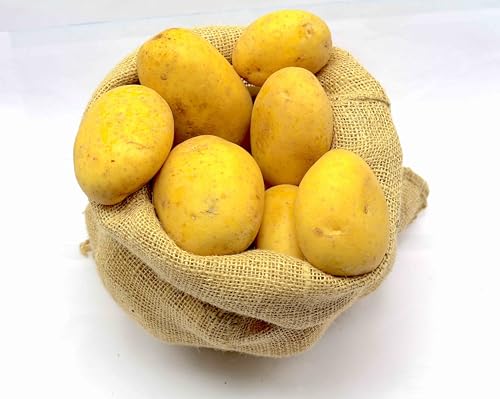 Bamelo I Kartoffeln Festkochend I Deutsche Kartoffeln aus der aktuellen Ernte 5 Kg