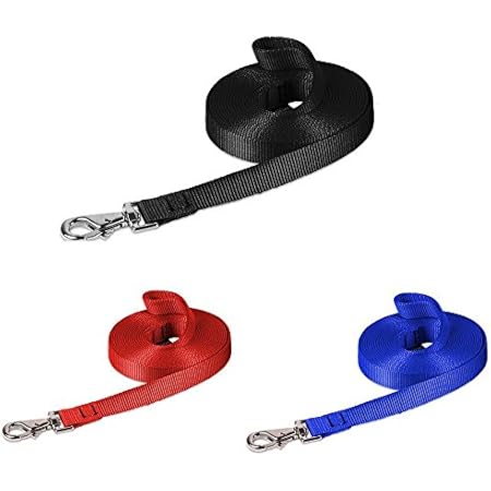 5m dog training lead