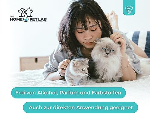 Anti Giardien Spray - RWC - Oberflächen Desinfektionsmittel für Hunde und Katzen - Effektives Hygienespray für Oberflächen mit Reinigungswirkung gegen Giardien, Viren, Bakterien & Pilze 500ml
