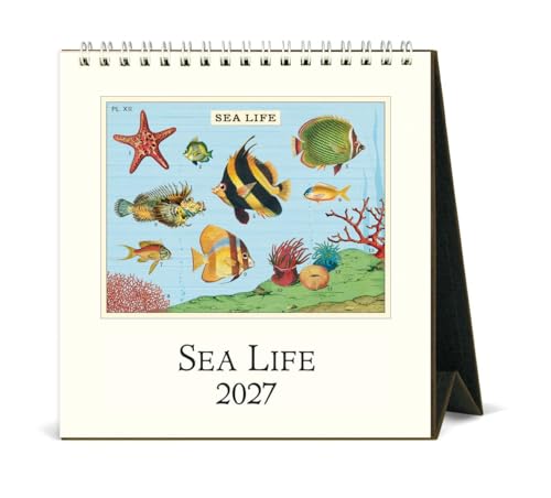 Cavallini Sea Life Easel Desk Calendar
