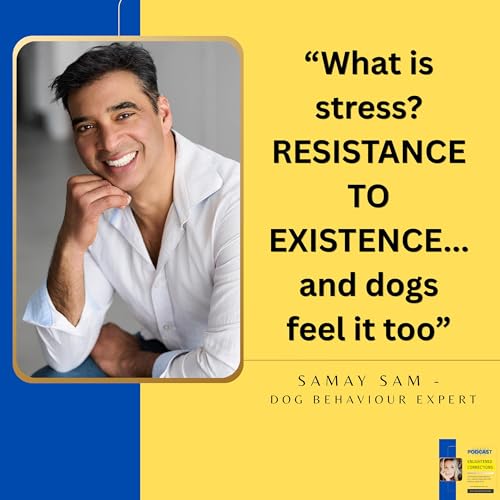 Stop Training Your Dog&hellip; Then What Happens? with Dog Behaviour Expert - Samay Sam #29