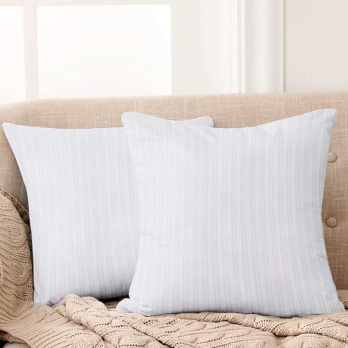 Image of Cloth Fusion Microfiber Sofa Cushion Fillers, White, 24x24 inch, Set of 2 | Satin Striped Soft Cushion, 24 inch x 24 inch Pillow For Sofa, hypoallergenic, Hollow microfibre fill, Fluffs Up in 24 Hrs