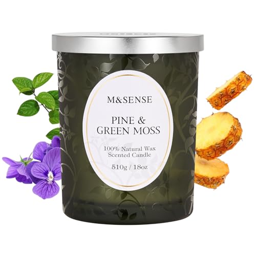 M&SENSE Duftkerze Kieferngrün Moos, Duftkerzen im Glas Groß 510g,...