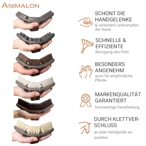 Animalon Premium-Set | Die Gesamte Bürsten-Power