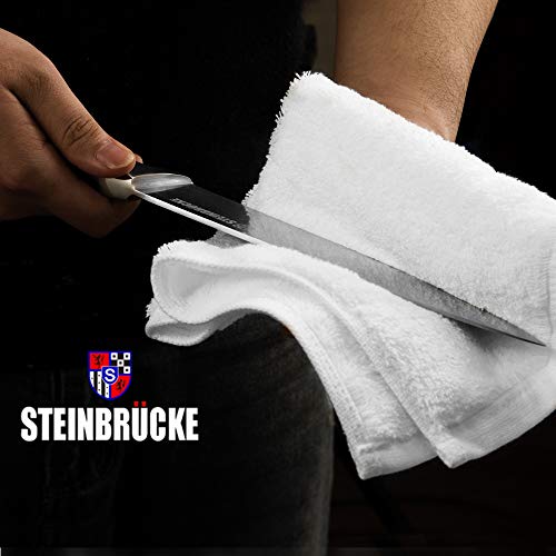 STEINBRÜCKE Chef's Knife - 10 Inch Pro Kitchen Knife, HRC58 German Stainless Steel, Sharp Chef Knife with Full Tang Ergonomic Handle Cooks knife for Home Kitchen Restaurant